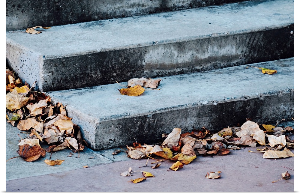 Concrete stairs covered in dry, fallen leaves.
