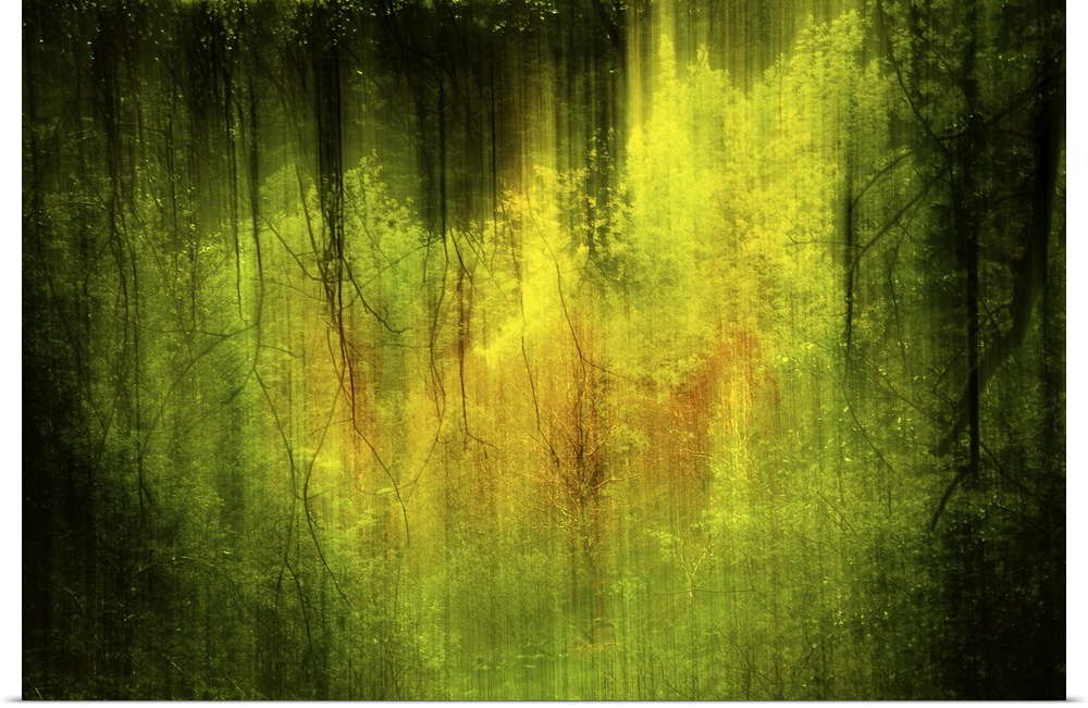 Dramatic lime green and black forest abstract.