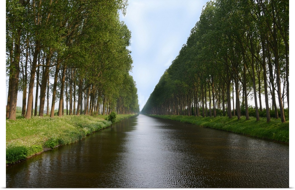 Tree lined canals near Damme in Belgium.