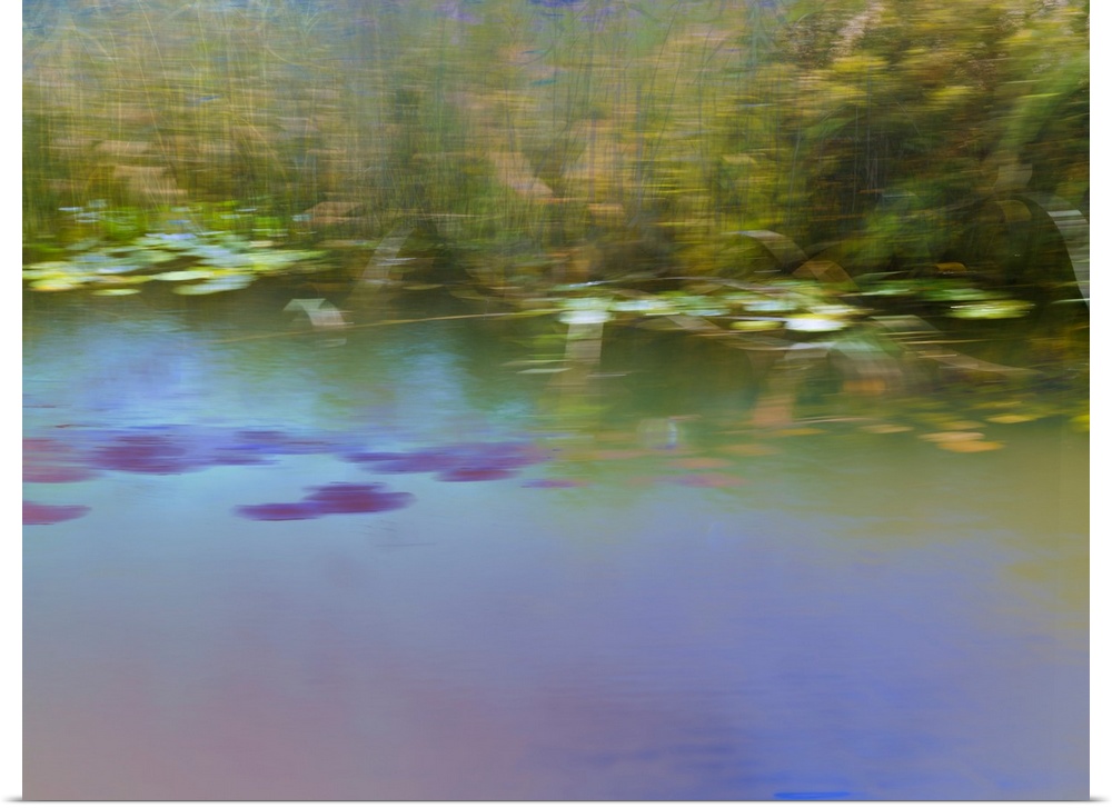 Blurred photograph of a pond landscape created with multiple exposures.