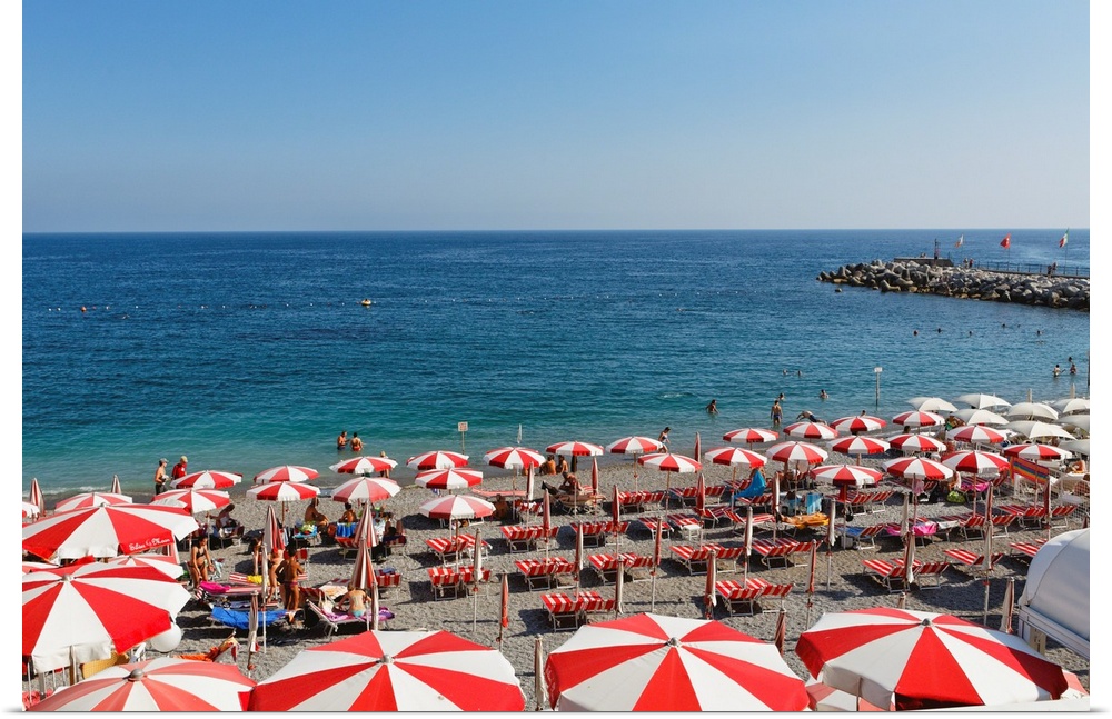 High Angle View of a Beach with Rows of Beach Umbrellas and chairs