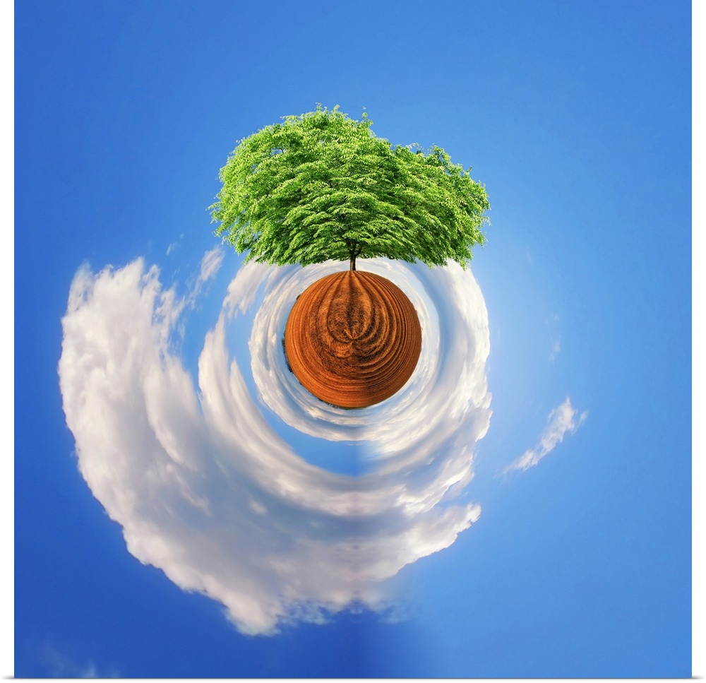 A tree with dense green foliage against a cloudy sky, with a stereographic projection effect on the image, resembling a ti...