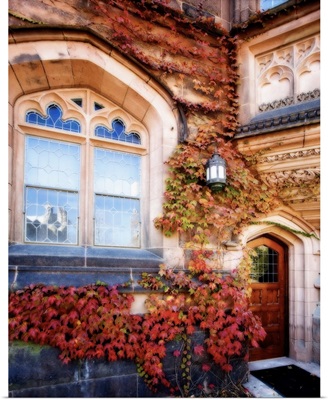 Ivy with Fall Colors of Princeton University