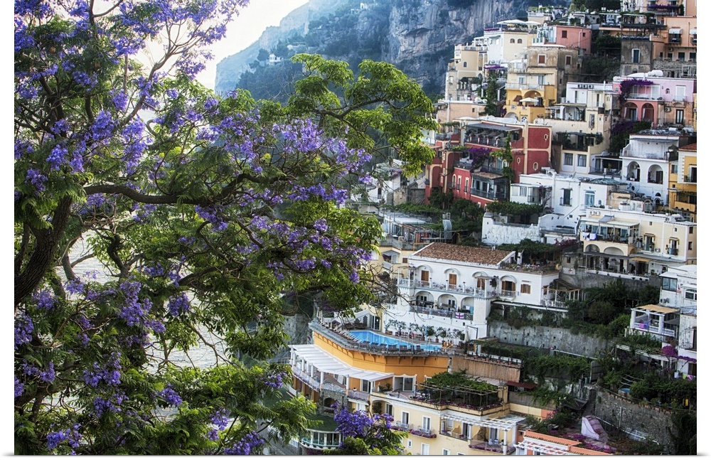 High Angle View of Hillside Houses in Positano with a Blooming Jacaranda