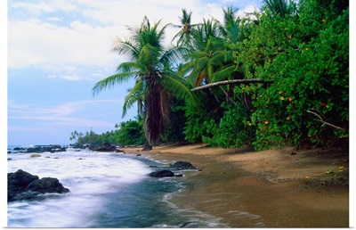 Jungle Meets the Pacific Ocean, Corcovado National Park, Costa R