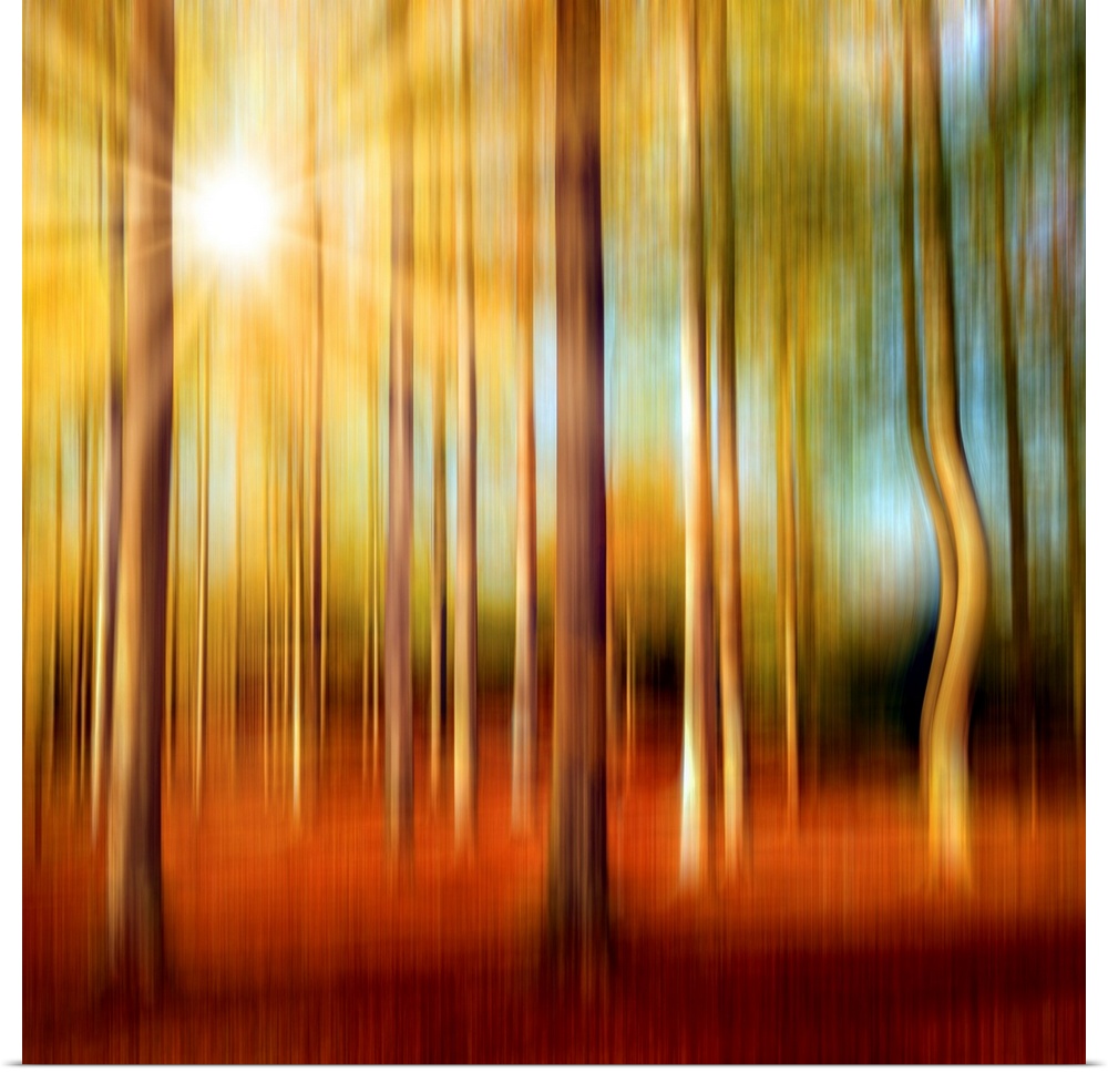 Forest in autumn with a vertical blur effect