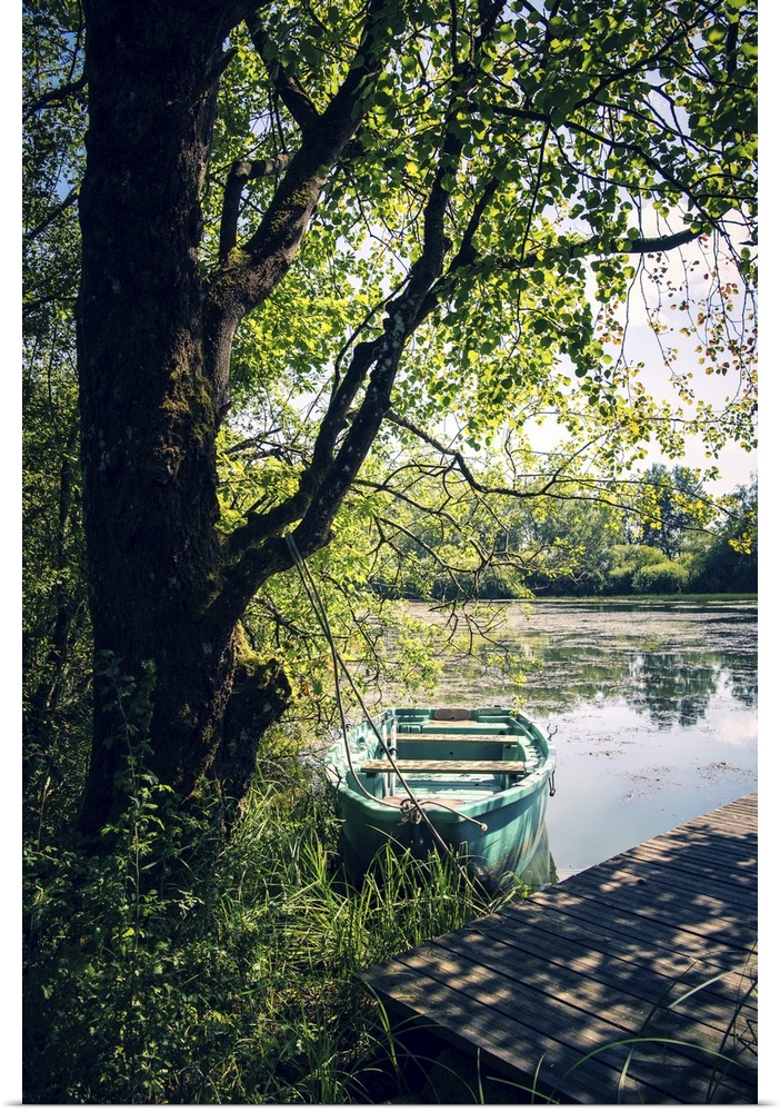 A rowboat berthed in the forest.
