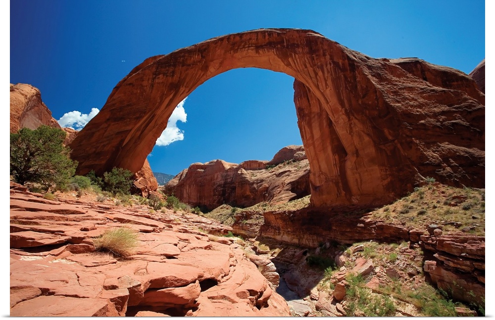 Low angle view of a Natural Arch, Rainbow Bridge, Utah.