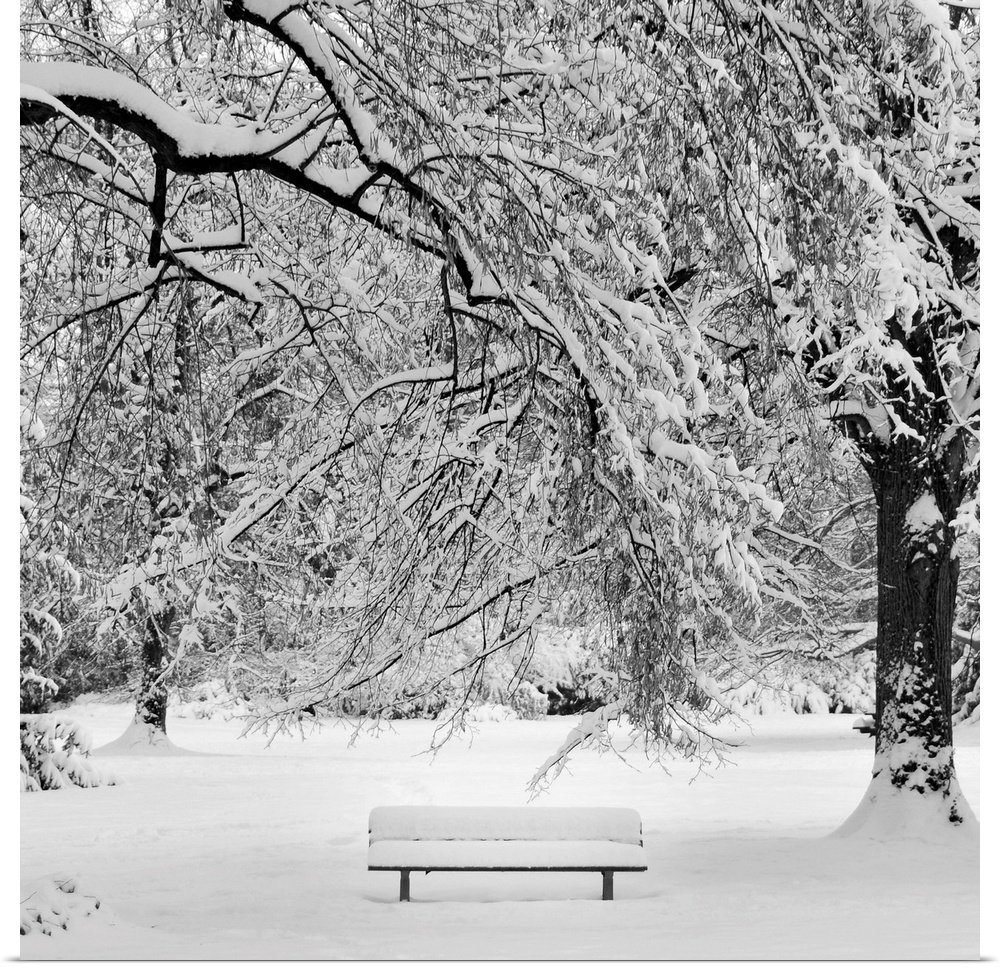Square image of a snow covered bench in a snowy wooded area.