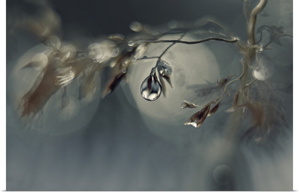 water drops on a straw. Photographed with a large aperture that gives a shallow depth of field.