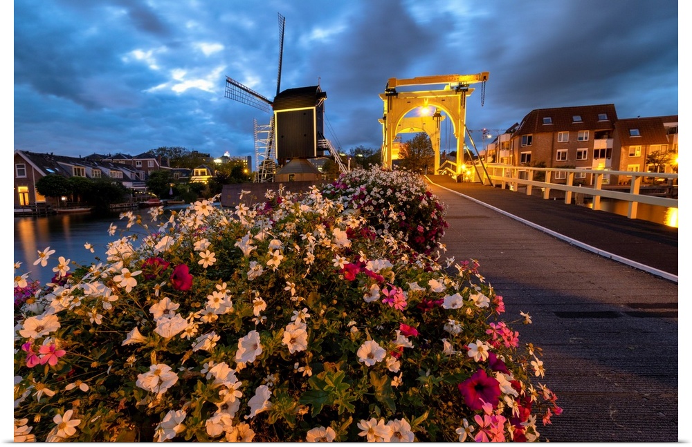 Drawbridge and windmill at night with blooming flowers, Leiden, South Holland, Netherlands.