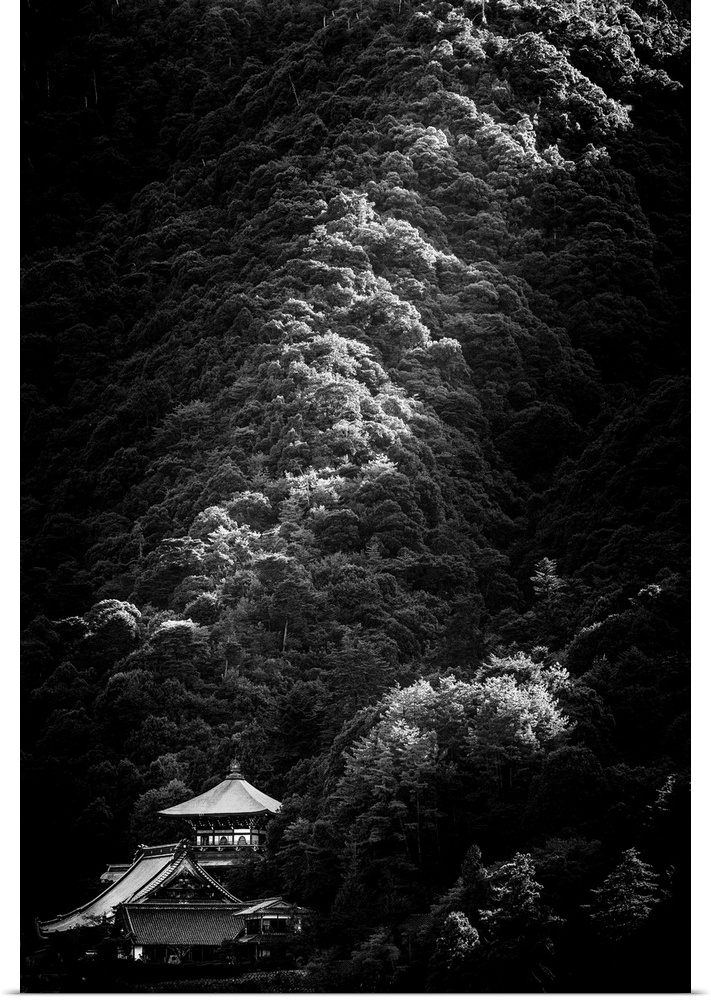 Evening light wraps around a hillside and falls on top of a quaint Japanese home.