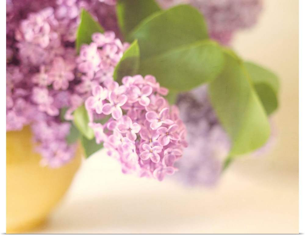 A soft focus vintage bowl of Lilac flower blossoms in a soft yellow vase.