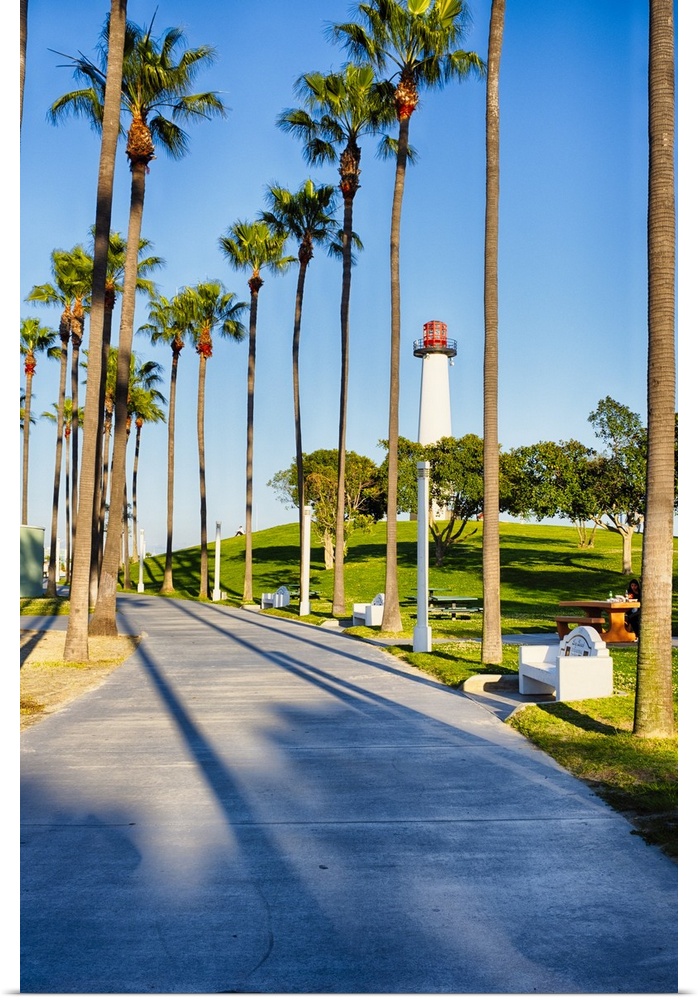 Park wit a Wlakway Leading to a Lighthouse, Long Beach, California.