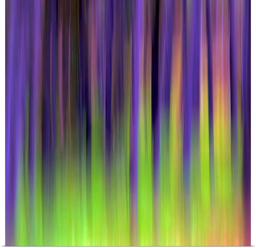 Abstract photograph of vertical blurred stripes of color.