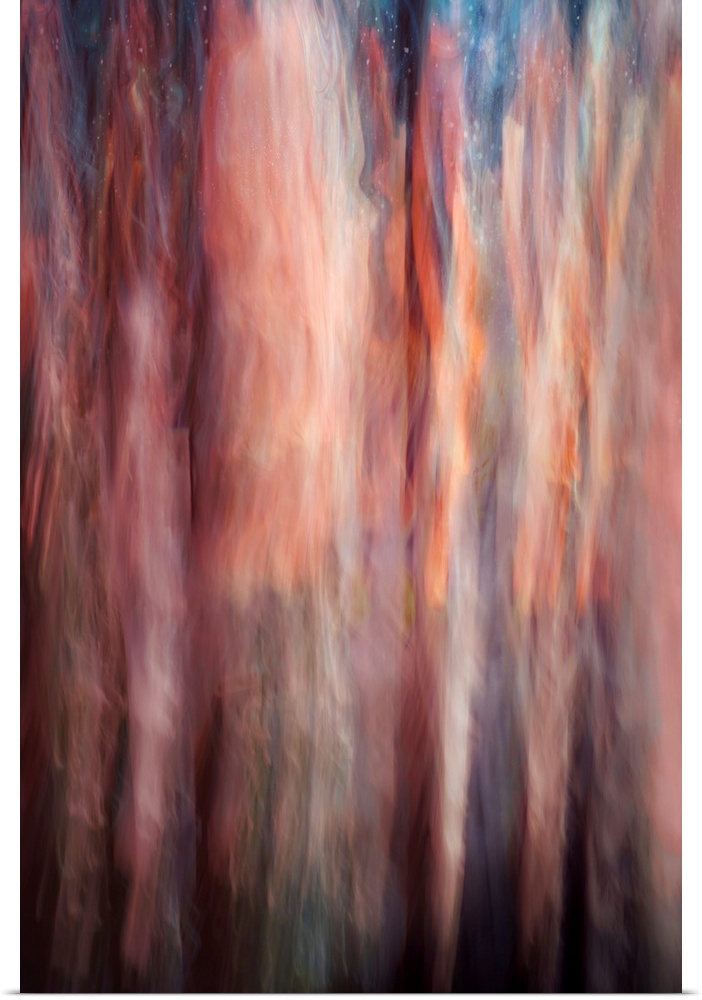 Abstract image of a group of very tall cedars at the edge of a large lake in British Columbia, Canada. The image was made ...
