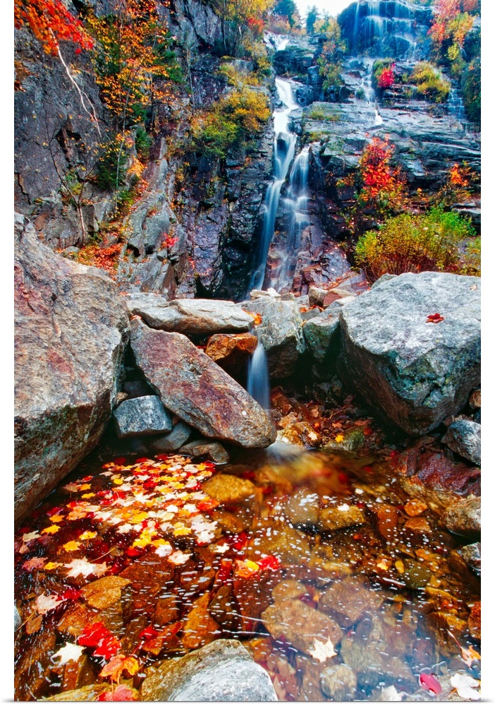 Low Angle View of a  Waterfall with Colorful Fall Leaves, Silver Cascade, White Mountain National Forest, New Hampshire
