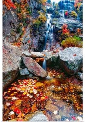 Low Angle View of a  Waterfall with Colorful Fall Leaves, Silver