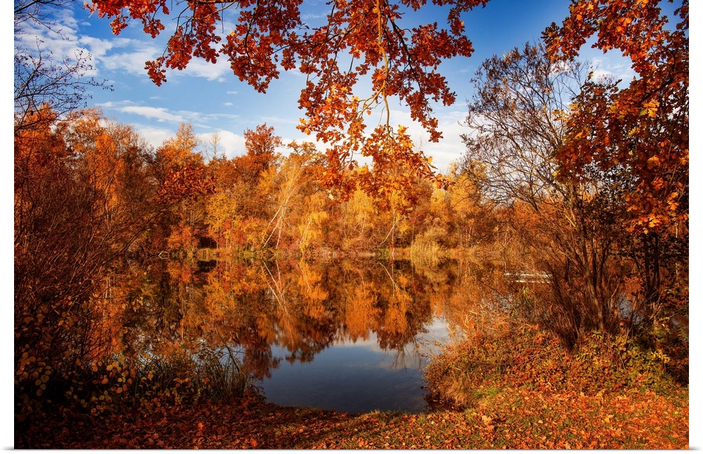 Autumn landscape with colorful trees at the edge of a pond