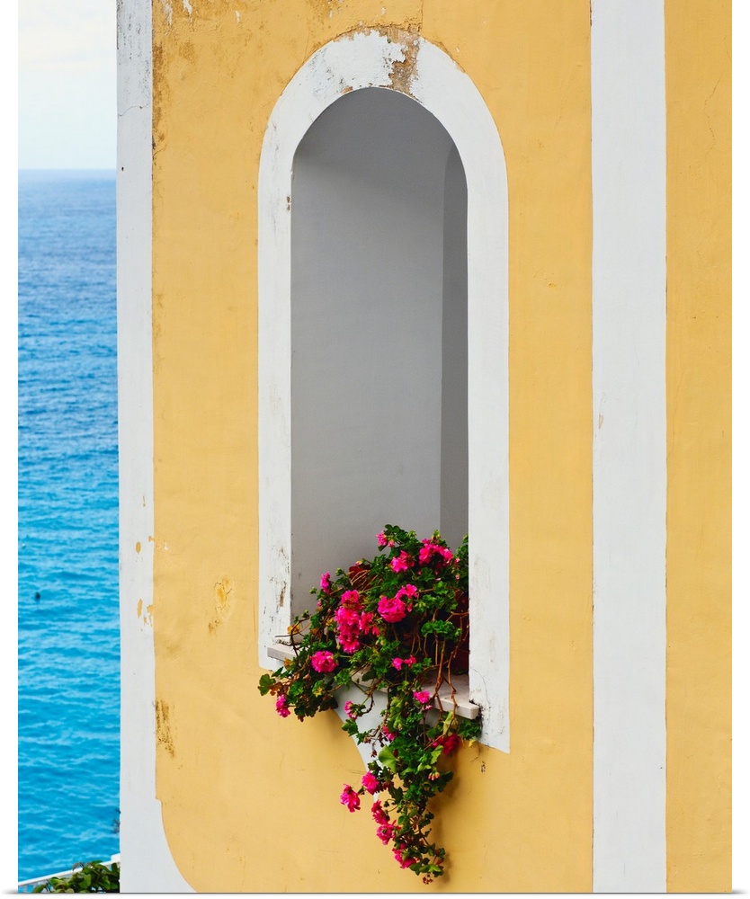Flower in window at Seaside, Positano, Campania, Italy.