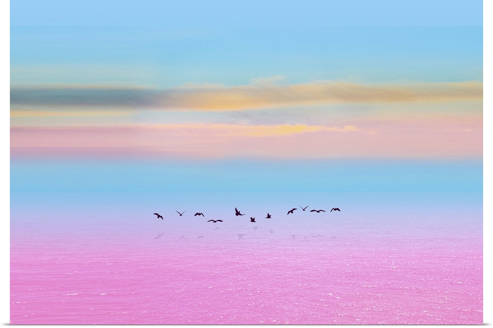 This photo was taken in spring on the pink lake, it is in this season that the migratory birds return following routes inv...