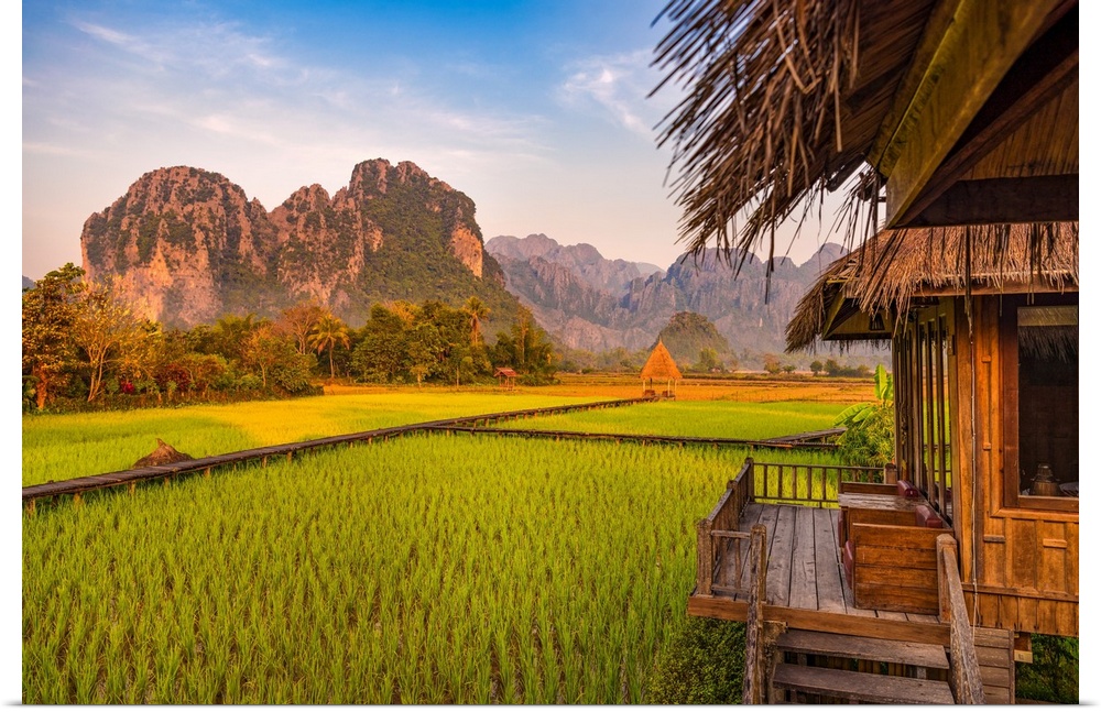 Green rice fields in Asia