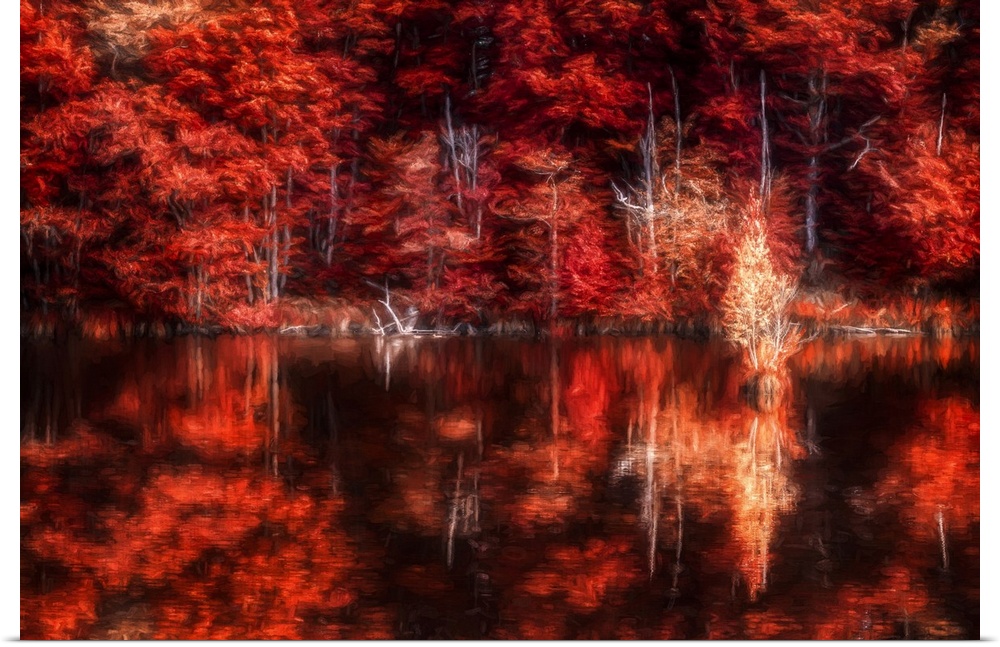 Photo Expressionism - Fiery Red colored forest in autumn at the edge of a lake.