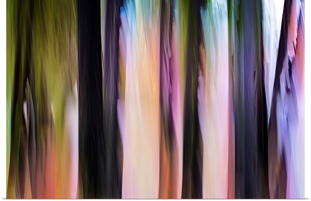 Abstract image of a group of cedars in a small town in British Columbia, Canada. The image was made using the vertical ICM...