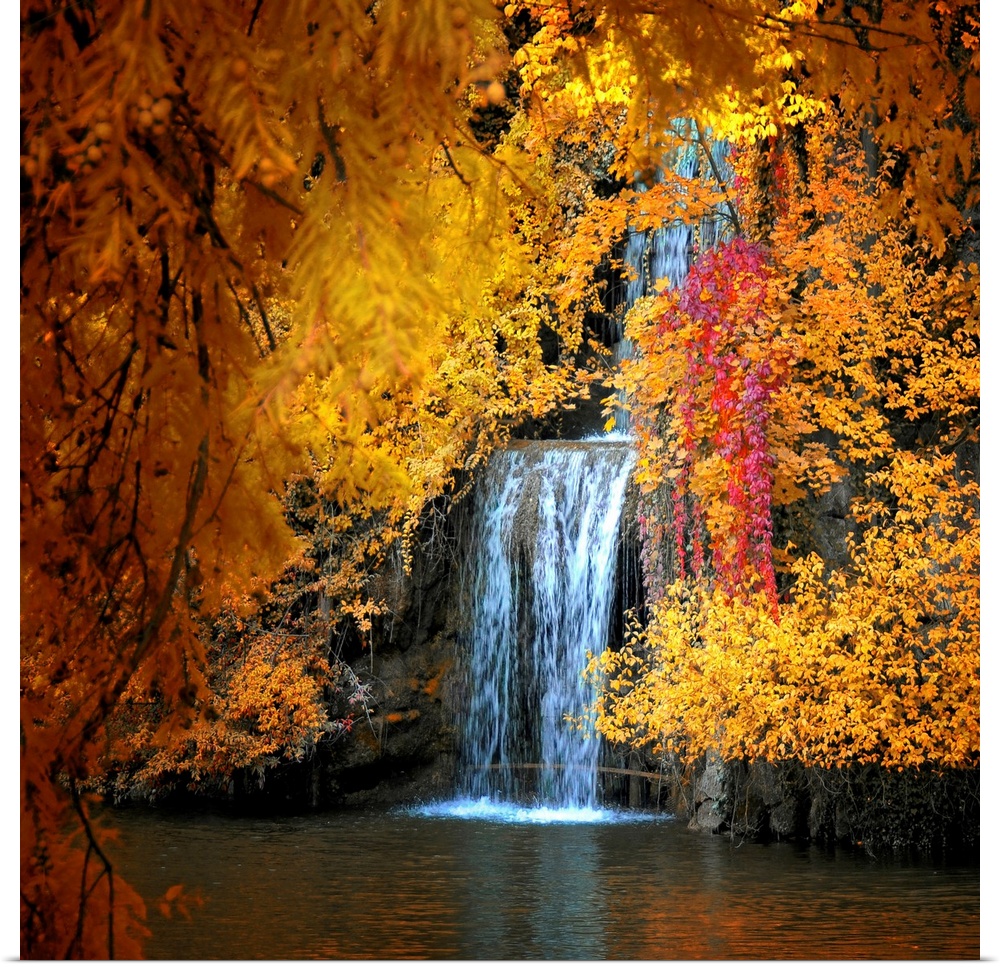 Photograph of waterfall seen through the brightly colored autumn leaves.