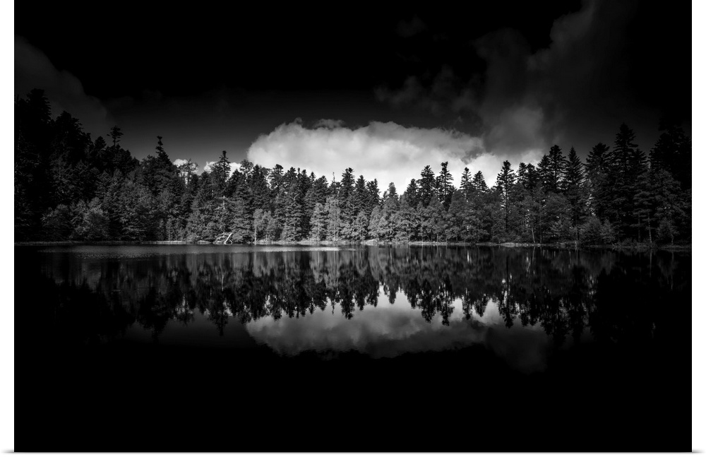 Black and white photograph of a row of reflecting trees onto a still lake with high contrasting clouds above.