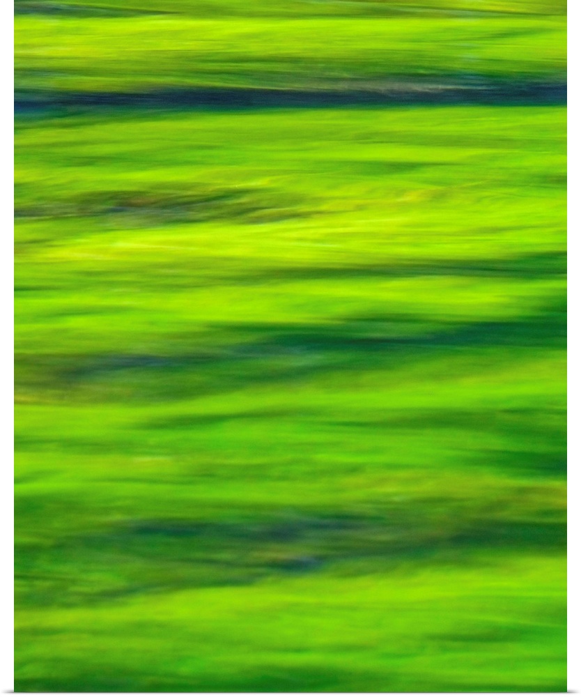 Blurred photo of ripples in a green pond.