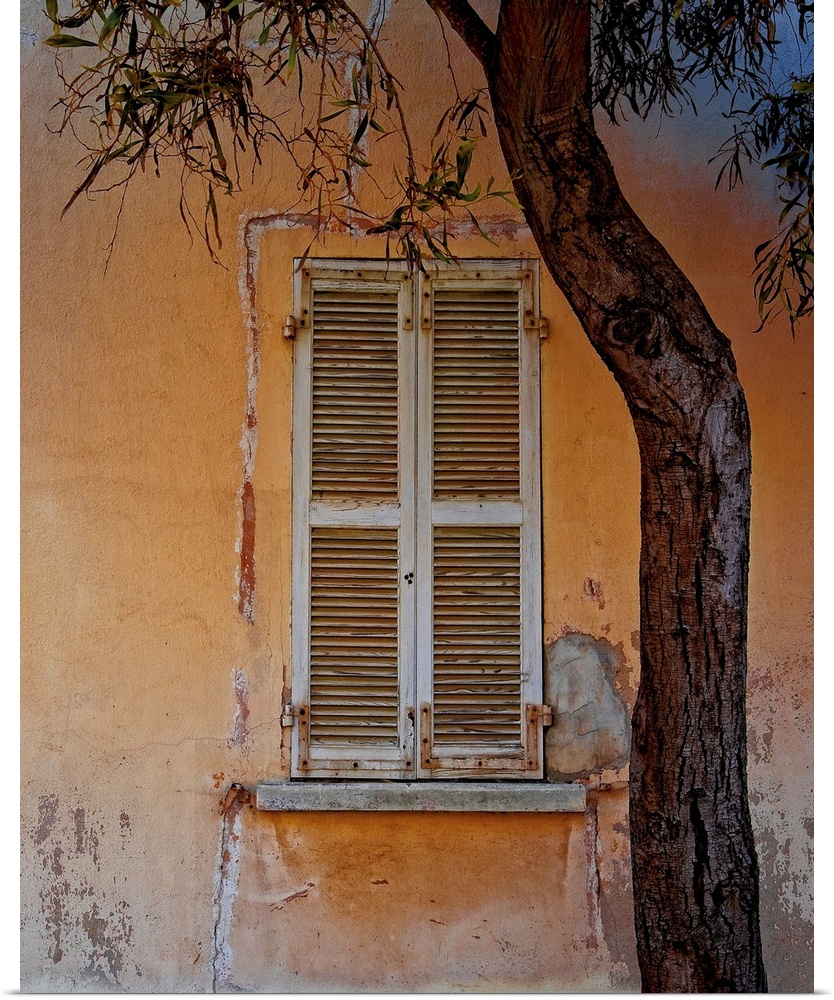 Photograph of an orange building facade with a weathered window with white shutters and a tree in the foreground framing t...