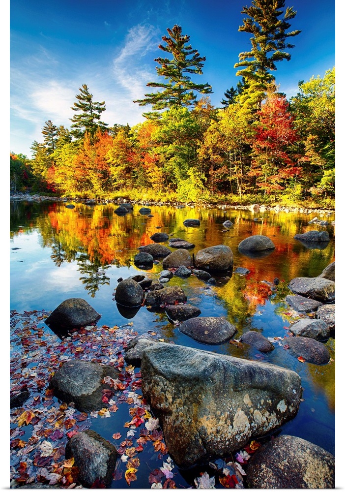 Fine art photo of bright colors of a forest in autumn being reflected in a pond full of rocks.