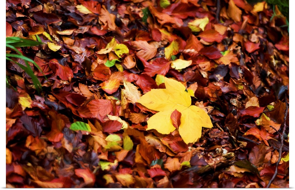 Photograph of a pile of Autumn leaves with a painted look finish.