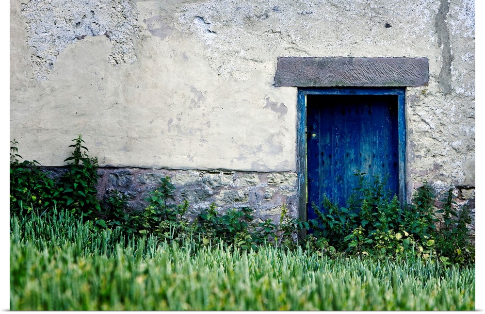 Big, landscape wall picture of a blue door surrounded by a grey cement wall.  Tall green grasses softly focused in the for...