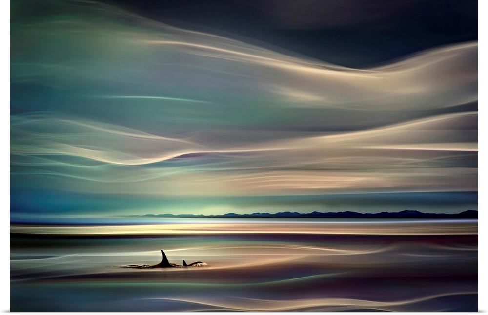 Horizontal, large abstract wall hanging of two Orca whale fins breaking the surface of the water.  The sky and the water f...