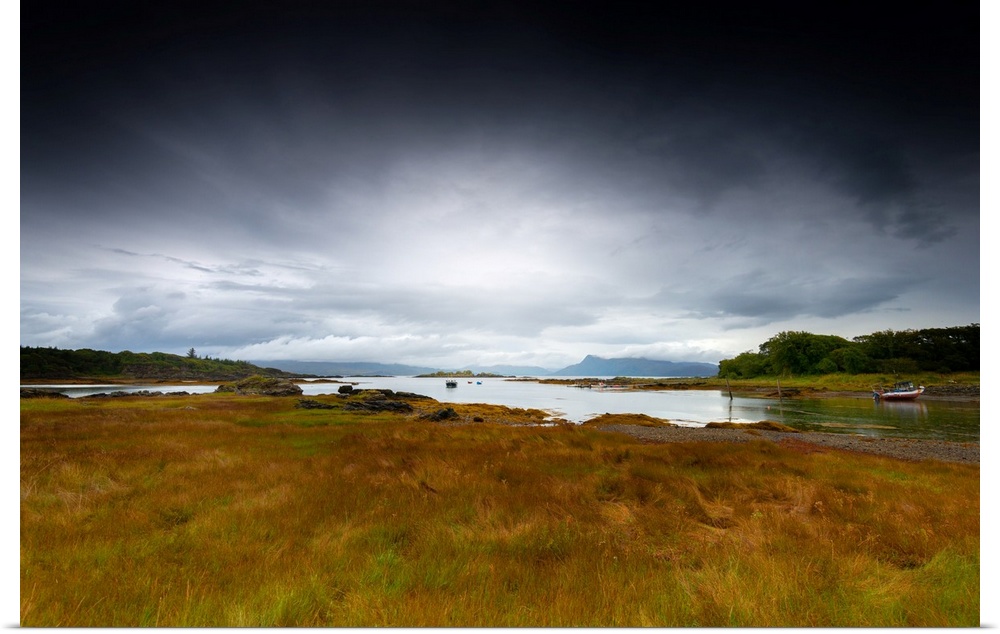 Fine art photo of a grassy marshland at the edge of the water under a stormy sky.