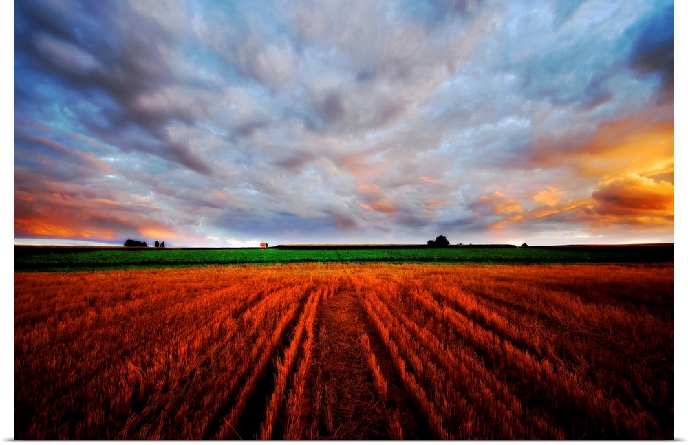 In this expansive photograph a farmer's field is shown stretching into the skyline under a cloudy and colorful sunset.