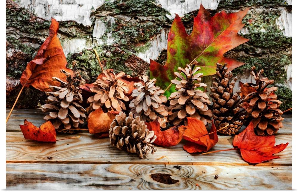 Fine art photograph of Autumn leaves and pine cones on a wooden background with a painted look.