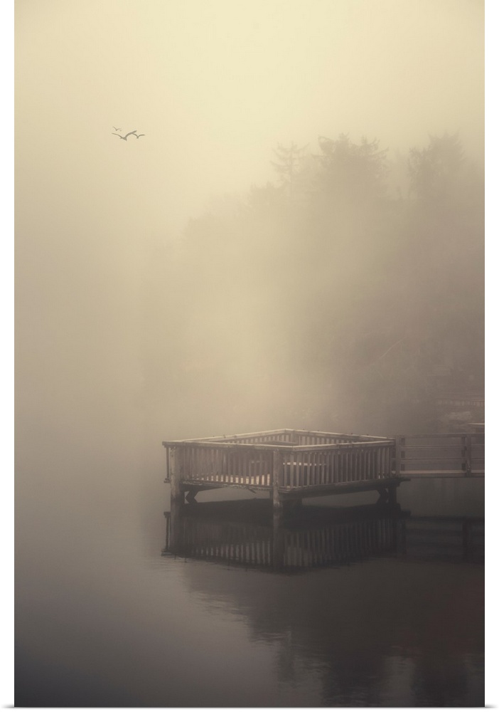 Pontoon in the fog with a flock of birds