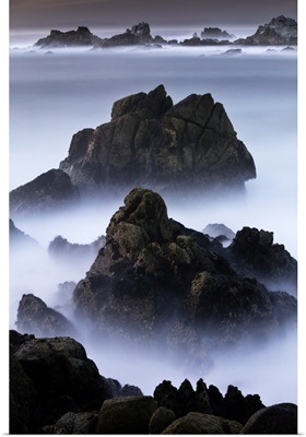 Point Lobos, California II