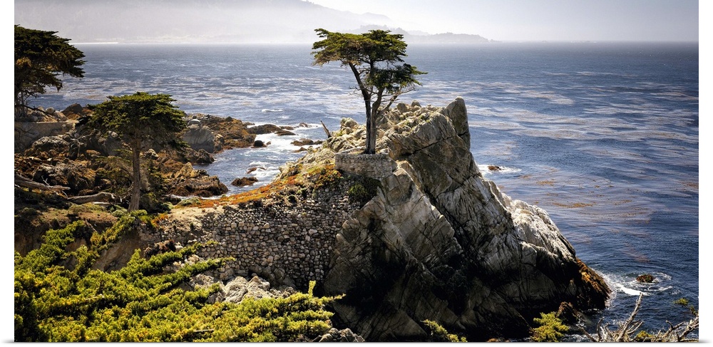 Lone Cypress tree, Pacific Coastline at Pebble Beach, Monterey Peninsula, California.
