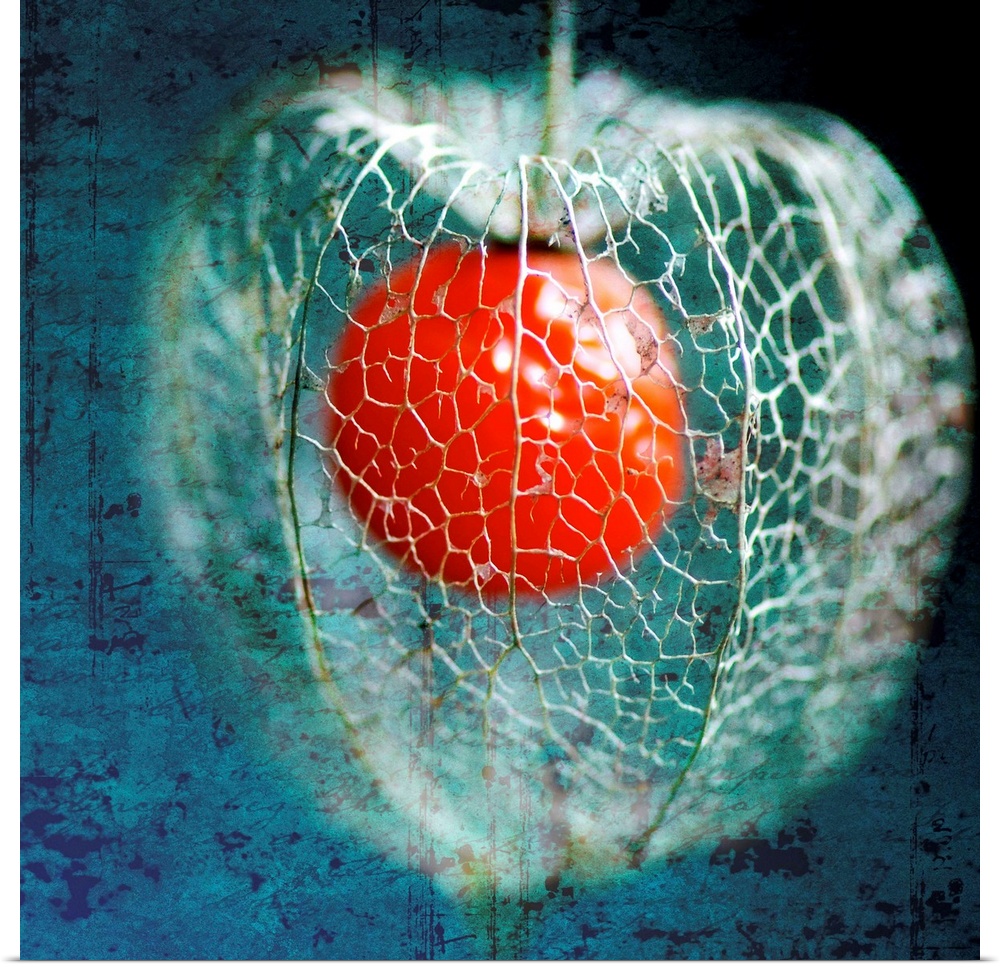 Photograph of caged red ball with abstract background.