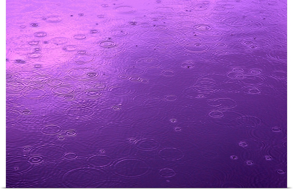 Abstract photograph of a small lake surface covered in circular ripples from falling raindrops, in deep purple light.