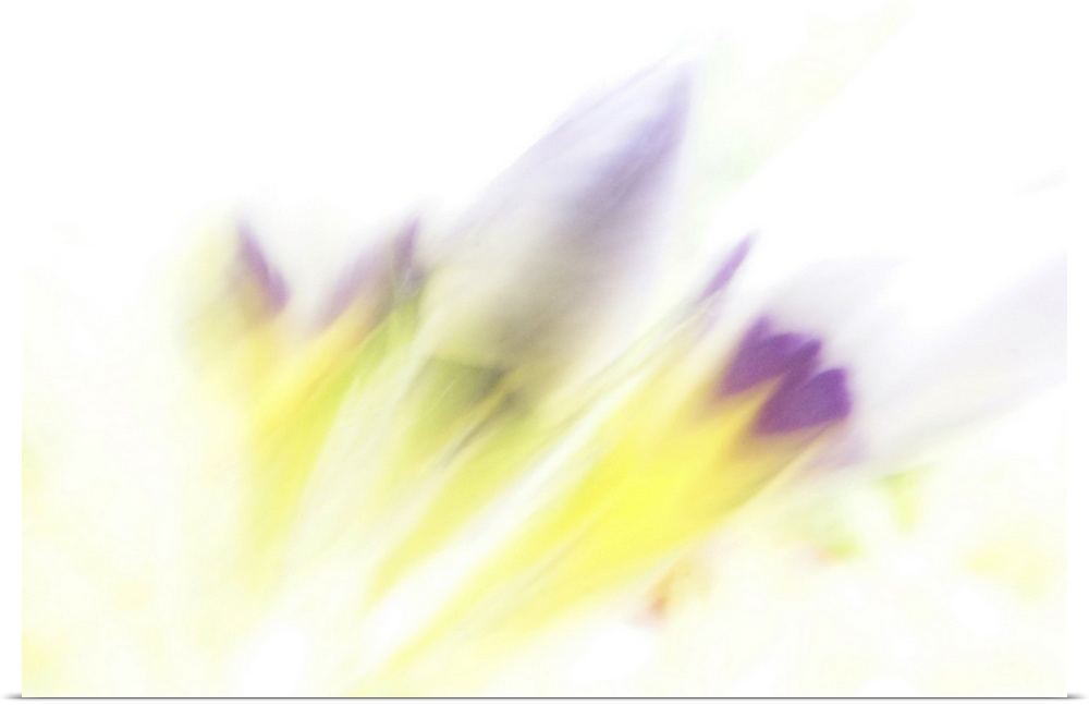 Artistically blurred wild flowers ready to bloom.