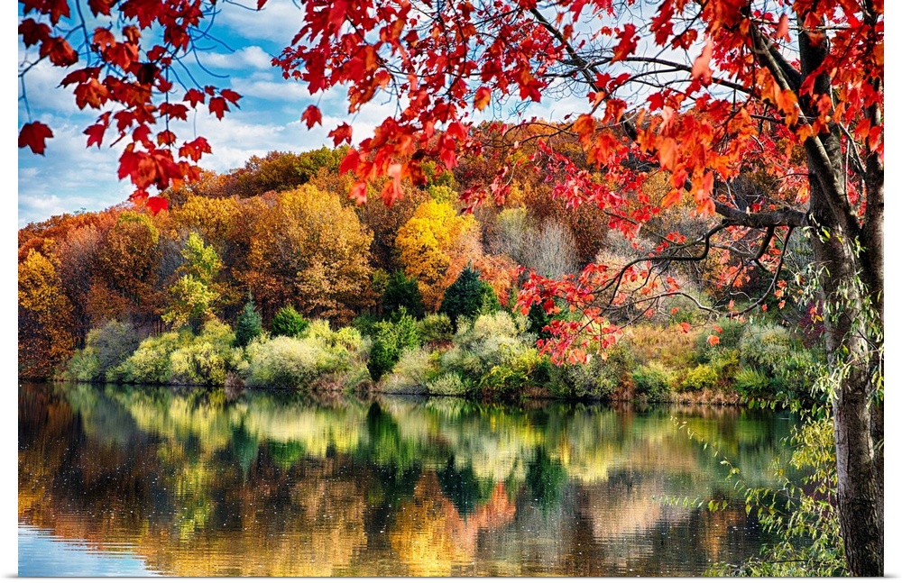 Fine art photo of a tree with bright leaves at the edge of a lake with the reflection of a fall forest.