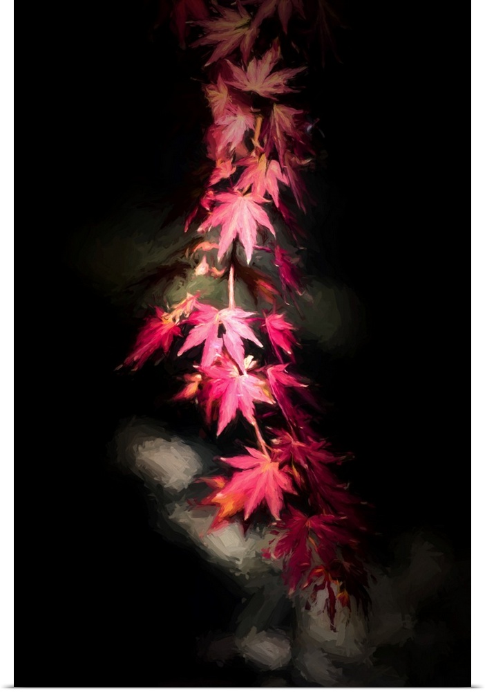 Dark photograph of red Japanese Maple leaves on a branch running from the top to the bottom of the canvas on a black backg...