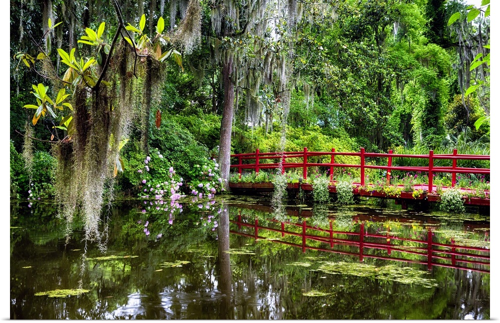 View of a Little Red Footbridge  Over a Pond, Magnolia Plantation