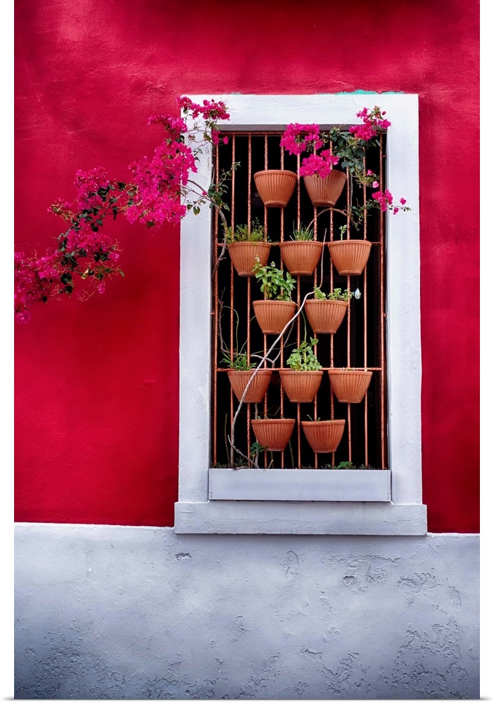 Fine art photo of a window in a red wall with several potted plants.