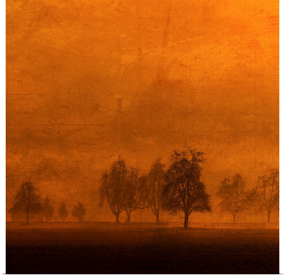 Relaxing In The Land Of Aztrees On An Orange Background With A Photo Texture